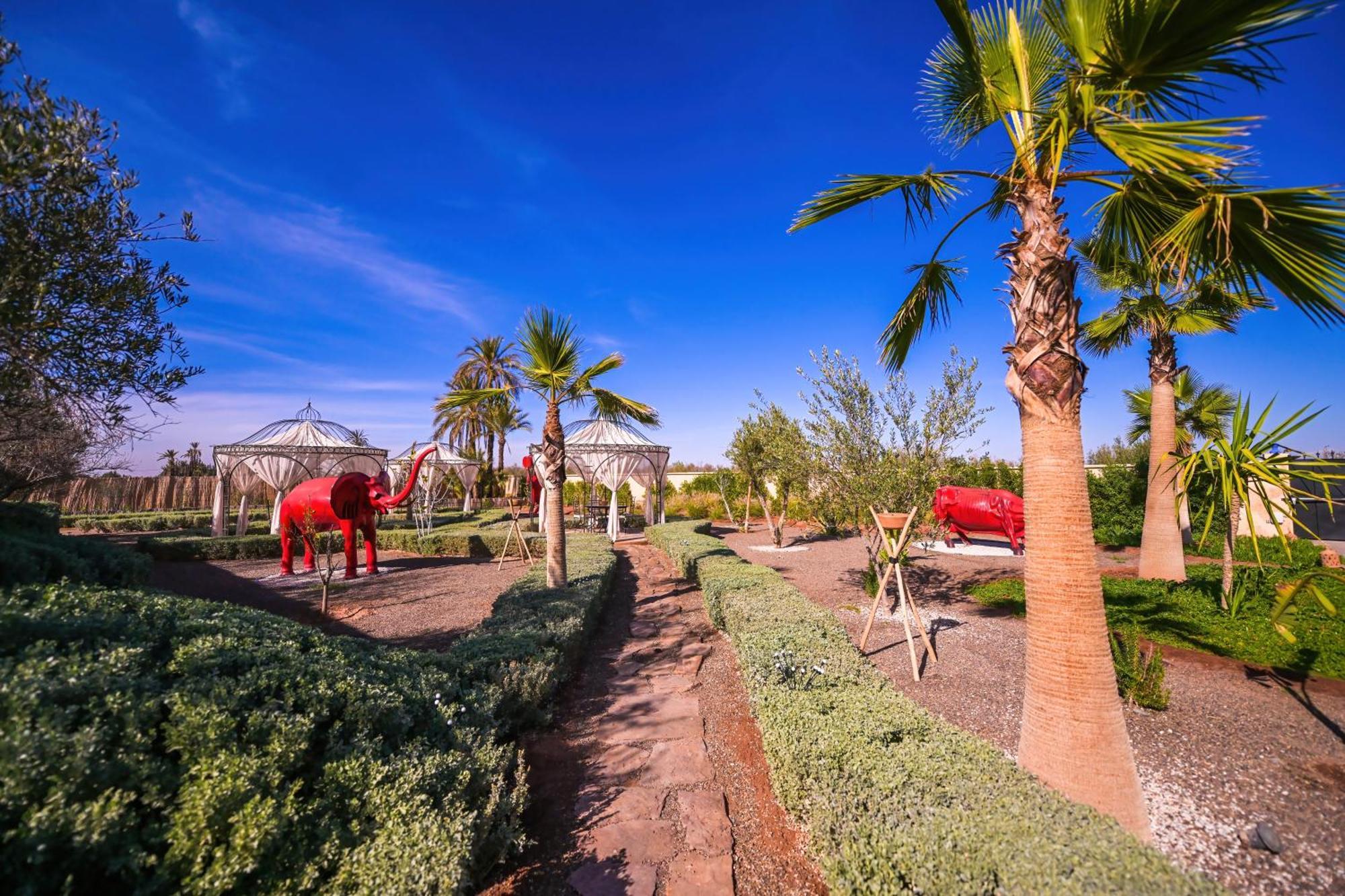 Maison Daouia Ouled Jelal Zewnętrze zdjęcie